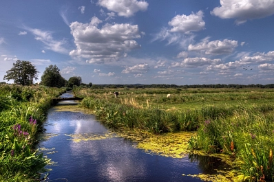 Gewässer in der Hamme-Niederung Gewässer in der Hamme-Niederung © GLV Teufelsmoor